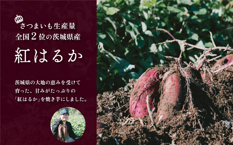 【 訳あり 】 冷凍焼き芋 紅はるか 1.5kg 【 さつまいも さつま芋 サツマイモ 焼芋 やきいも スイーツ 甘味 わけあり 人気 おやつ スイートポテト 大学芋 大学いも 】[SZR] 【訳あり】約1.5kg | 6,000円