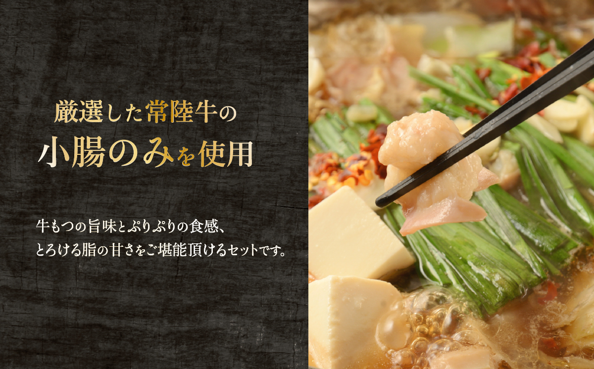 常陸牛 もつ鍋セット 500g 【 国産 スープ 脂 おかず 冷凍 人気 お取り寄せ モツ鍋 茨城県下妻市 】[SZR]