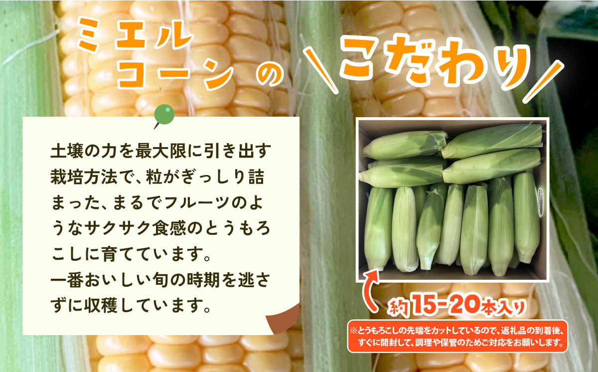 【 訳あり 】【先行予約】下妻産 朝採りとうもろこし （ ミエルコーン ） 約6kg 【 とうもろこし とうきび トウモロコシ ジューシー 甘い 蜂蜜 はちみつ ミエル Miel スイーツ デザート ミエルコーン 人気 野菜 新鮮 おすすめ スイートコーン 】[SZR]