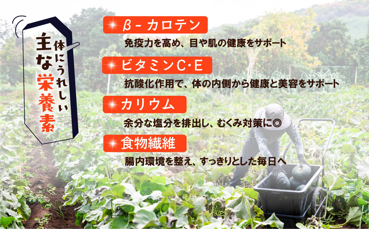 【訳あり】かぼちゃ くり大将 《容量が選べる！》訳あり 茨城県産 くり大将 約3kg (1玉から3玉) / 約5kg (2玉から3玉) / 約10kg (5玉から6玉) 【茨城県 下妻市産 かぼちゃ カボチャ 南瓜 くり大将 くりたいしょう 採れたて 旬野菜 季節の野菜 甘い おすすめ】 【訳あり】3kg（1～3玉）| 3,000円