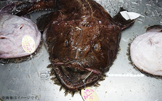 あんこう鍋セット刺身付き（あんこう切り身1kg＋自家製あんこう鍋スープ500cc＋あんこう刺身100g）【 アンコウ 鮟鱇 鍋セット スープ 海鮮 魚介 魚 人気 おすすめ 茨城県 】[SZR]