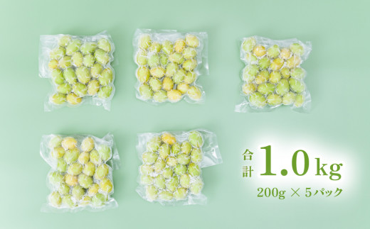 【 訳あり 】 冷凍シャインマスカット 約1kg （ 約200g × 5パック ）【 TV等で話題の凍眠 （ 急速冷凍） 】【 わけあり フルーツ 果物 ぶどう ブドウ 葡萄 茨城県産 国産 農園 人気 スイーツ お取り寄せ 】[SZR]