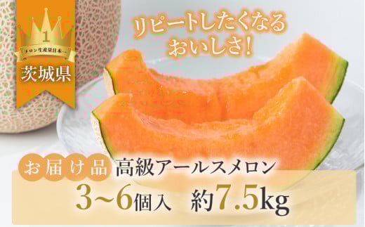 【 先行予約 】 茨城県産 アールスメロン 「 赤 」 約7.5kg （ 3～6個 ）【 2026年9月上旬～10月上旬ごろ発送予定 】【 国産メロン 茨城県産メロン メロンの王様 高級メロン めろん  果物 くだもの フルーツ 季節限定 人気 贈り物 お取り寄せ プレゼント 厳選 デザート マスクメロン ムスク マスク 】 約7.5kg（赤肉）