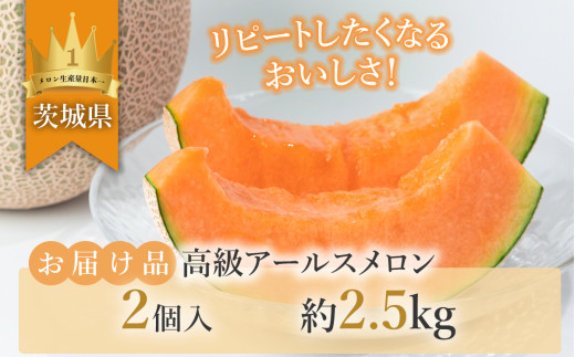 【 先行予約 】 茨城県産 アールスメロン 「 赤 」 約2.5kg （ 2個 ）【 2026年9月上旬～10月上旬ごろ発送予定 】【 国産メロン 茨城県産メロン メロンの王様 高級メロン めろん  果物 くだもの フルーツ 季節限定 人気 贈り物 お取り寄せ プレゼント 厳選 デザート マスクメロン ムスク マスク 】 約2.5kg（赤肉）