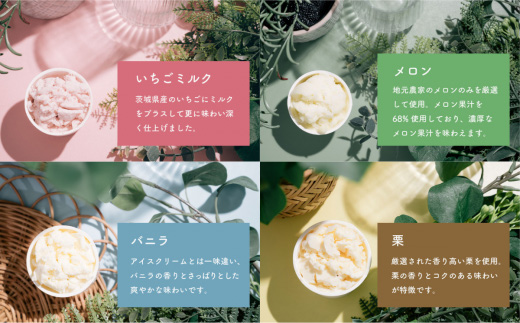 特製ジェラート 12個入り【 アイス ジェラート アイスクリーム デザート 夏 冷たい スイーツ ご当地 おまかせ 人気スイーツ 秋 バニラ 和梨 いちごミルク スイーツ 焼き芋 さしま茶 スイーツ メロン 梅 紫煌 酒 栗 スイーツ 詰め合わせ カップ 子供 スイーツ セット 冬 フレーバー 季節 冷凍 スイーツ 】[SZR]