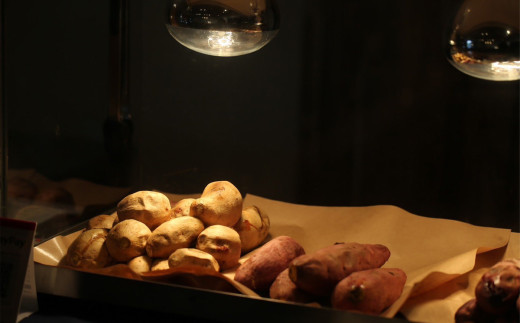 茨城県産 冷やし焼き芋 約1.1kg ( 約380g × 3パック )【 焼き芋 冷やし焼き芋 芋 スイーツ さつまいも シルクスイート 紅はるか おまかせ 】