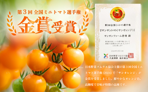 【 先行受付 】 ミニトマト 食べ比べセット 1kg ミニトマト 選手権 「 金賞 」 農家がつくる 【 10種以上 国産 旬 フルーツトマト 高糖度 カラフル 10000円以下 】 1月以降順次発送 | 9,000円