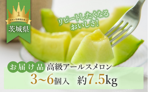 【 先行予約 】 茨城県産 アールスメロン 約7.5kg （ 3 ～ 6個 ）【 2026年9月上旬～10月上旬ごろ発送予定 】【 国産メロン 茨城県産メロン メロンの王様 高級メロン めろん  果物 くだもの フルーツ 季節限定 人気 贈り物 お取り寄せ プレゼント 厳選 デザート マスクメロン ムスク マスク 】 約7.5kg（青肉）