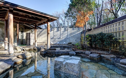 茨城県 しもつま温泉 「 ビアスパークしもつま 」 温泉入浴券 2枚 【 温泉 日帰り湯 チケット 券 利用券 利用チケット ホテル 地ビール 】