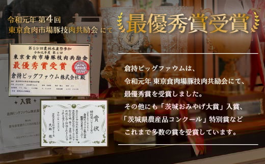 伝説の下妻金豚 【 ぶぅーぶーブランド 】 しゃぶしゃぶセット 2500g 【 豚肉 豚にく 豚 ロース バラ 】