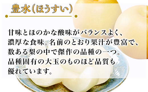 【 先行予約 】茨城県産 「 豊水梨 」 約5kg 【 2026年8月下旬～9月上旬にかけて発送予定 】【 梨 なし 豊水 ナシ 果物 フルーツ なし 甘味 茨城県産 くだもの 豊水梨 】
