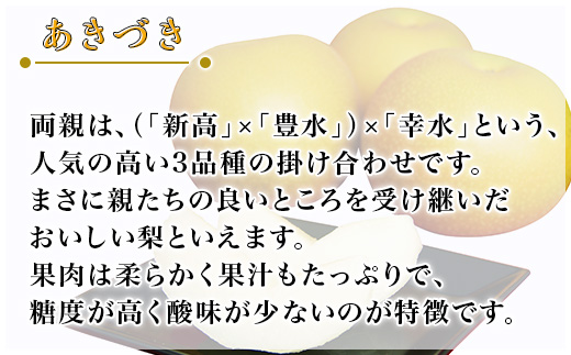 【 先行予約 】 茨城県産 「 あきづき 」 約5kg 【 2026年8月下旬～9月中旬にかけて発送予定 】【 梨 果物 くだもの フルーツ 国産 季節限定 人気 贈り物 お取り寄せ デザート 】