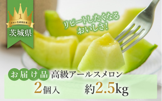 【 先行予約 】 茨城県産 アールスメロン 約2.5kg （ 2個 ）【 2026年9月上旬～10月上旬ごろ発送予定 】【 国産メロン 茨城県産メロン メロンの王様 高級メロン めろん  果物 くだもの フルーツ 季節限定 人気 贈り物 お取り寄せ プレゼント 厳選 デザート マスクメロン ムスク マスク 】 約2.5kg（青肉）