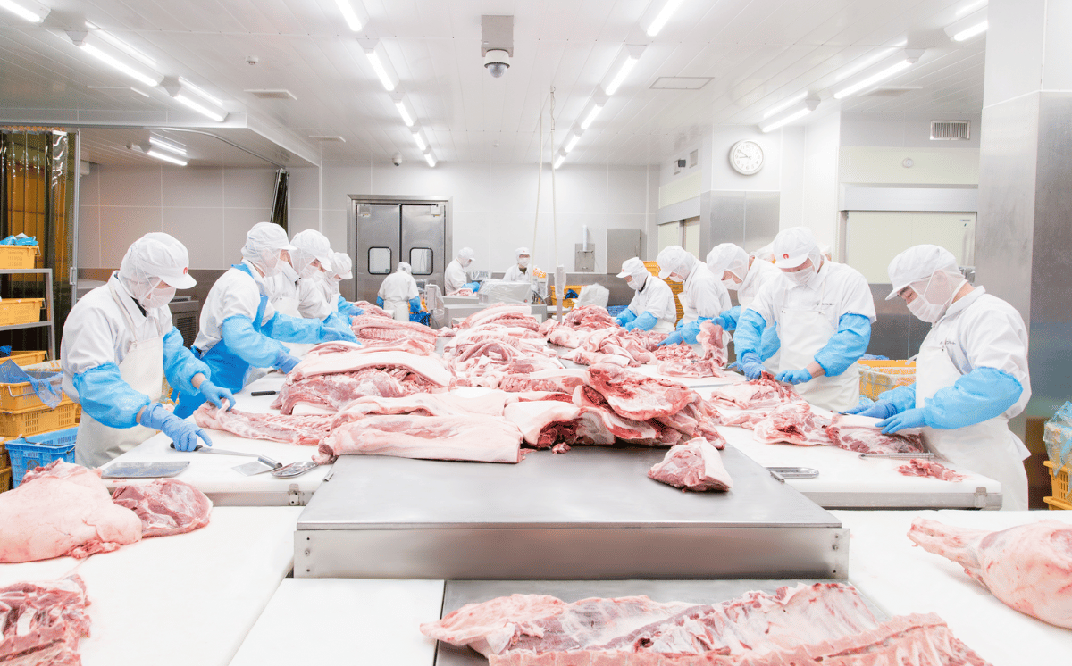 国産豚肉 ロース味噌漬け 2kg 冷蔵 （ 500g × 4パック / 小分け 真空包装 ）【 下妻工場直送 】【 豚肉 ロース セット パック 国産 豚ロース 味噌漬け 味噌 おかず 便利 お弁当 】