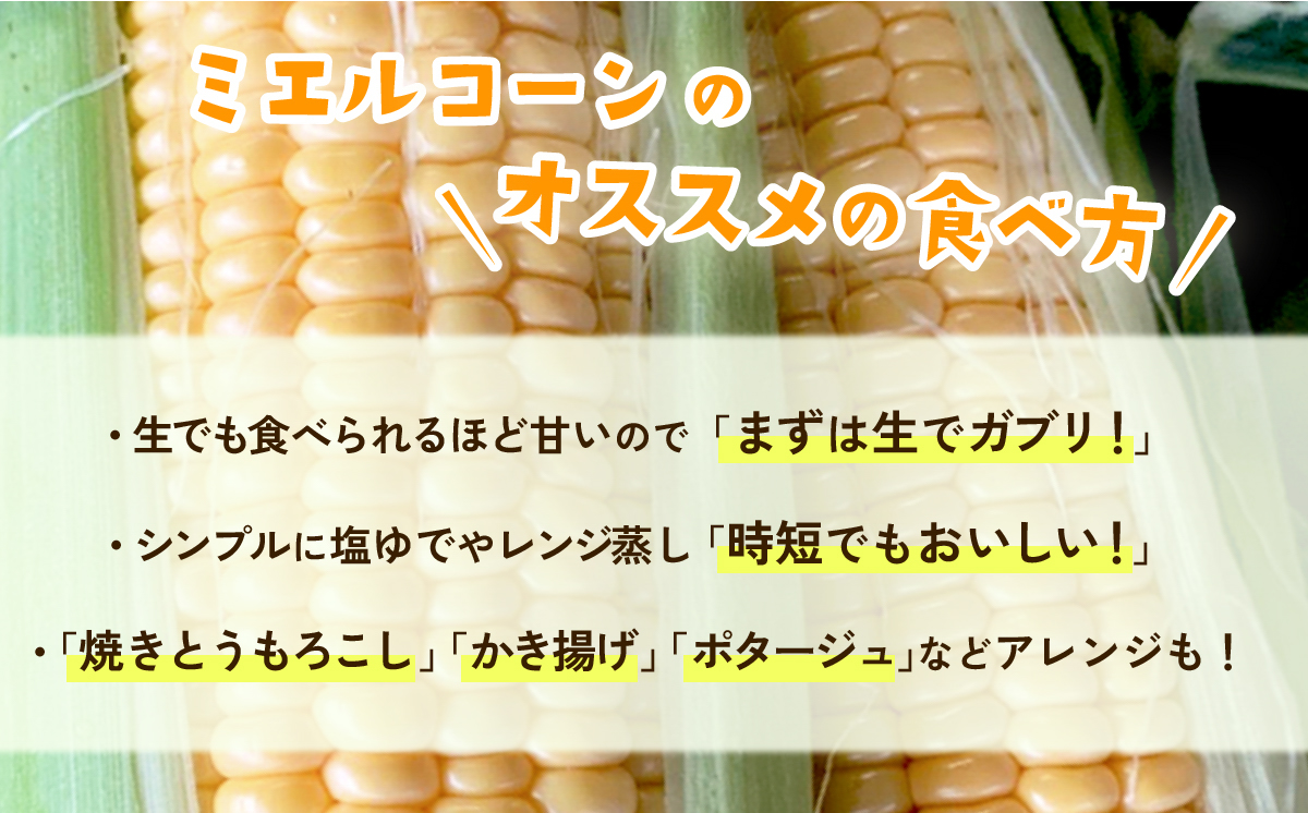 【先行予約】下妻産 朝採りとうもろこし （ ミエルコーン ） 約6kg 【 とうもろこし とうきび トウモロコシ ジューシー 甘い 蜂蜜 はちみつ ミエル Miel スイーツ デザート ミエルコーン 人気 野菜 新鮮 おすすめ スイートコーン 】[SZR]