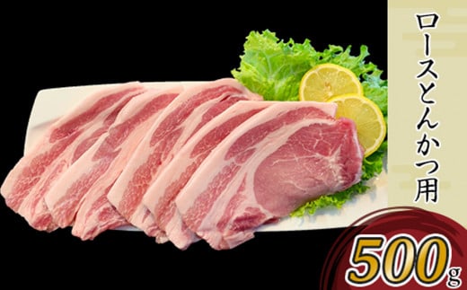 国産豚肉2種 とんかつ用 ・ こま切れセット 3kg （ 小分け 真空包装 ）【 下妻工場直送 】【 豚肉 パック とんかつ  小分け ロースとんかつ ヒレ カツ 便利 国産 料理 ポーク ぶたにく 国産豚 マルリン 】