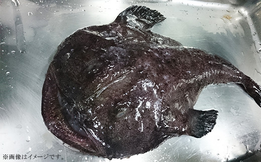 あんこう鍋セット（ あんこう切り身 1kg ＋ 自家製あんこう鍋スープ 500cc ）【 アンコウ 鮟鱇 鍋セット スープ 海鮮 魚介 魚 人気 おすすめ 茨城県 】[SZR]