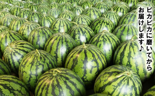 【 先行予約 】 茨城県産 大玉すいか 2玉セット （ 約6 ～ 7kg / 玉 ）【 2026年6月上旬～7月上旬ごろ発送予定 】【 スイカ すいか 西瓜 果物 くだもの フルーツ 国産 季節限定 人気 贈り物 お取り寄せ プレゼント 厳選 デザート 】