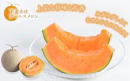 【 先行予約 】 茨城県産 アールスメロン 「 赤 」 約7.5kg （ 3～6個 ）【 2026年9月上旬～10月上旬ごろ発送予定 】【 国産メロン 茨城県産メロン メロンの王様 高級メロン めろん  果物 くだもの フルーツ 季節限定 人気 贈り物 お取り寄せ プレゼント 厳選 デザート マスクメロン ムスク マスク 】 約7.5kg（赤肉）