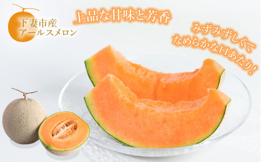 【 先行予約 】 茨城県産 アールスメロン 「 赤 」 約2.5kg （ 2個 ）【 2026年9月上旬～10月上旬ごろ発送予定 】【 国産メロン 茨城県産メロン メロンの王様 高級メロン めろん  果物 くだもの フルーツ 季節限定 人気 贈り物 お取り寄せ プレゼント 厳選 デザート マスクメロン ムスク マスク 】 約2.5kg（赤肉）