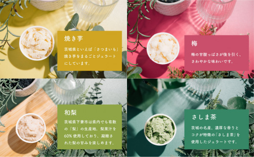 特製ジェラート 12個入り【 アイス ジェラート アイスクリーム デザート 夏 冷たい スイーツ ご当地 おまかせ 人気スイーツ 秋 バニラ 和梨 いちごミルク スイーツ 焼き芋 さしま茶 スイーツ メロン 梅 紫煌 酒 栗 スイーツ 詰め合わせ カップ 子供 スイーツ セット 冬 フレーバー 季節 冷凍 スイーツ 】[SZR]