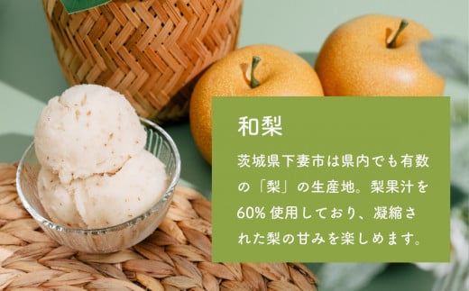 選べる特製ジェラート 1L x 2個 [ メロン ] [ メロン ] 【 アイス ジェラート アイスクリーム デザート スイーツ 組み合わせ自由 業務用 バルク 】 メロン1L × メロン1L | 10,000円