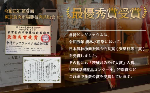 【 極上 】 辛さを選べる 肉屋のお肉ゴロゴロ カレー （ 約200g × 8パック ） 中辛 【 金豚 カレー カレーライス カレー 豚肉 ポークカレー レトルト ポーク カレールー 】 中辛 | 10,000円