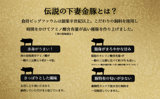 下妻金豚のロース 生姜焼き 約1.2㎏ （ 120g × 10P ） 自社農場生産 【 豚肉 おかず 惣菜 ブタ 豚にく しょうが 冷凍 真空パック 小分け おかず 】 1.2kg(120g × 10P) | 17,000円