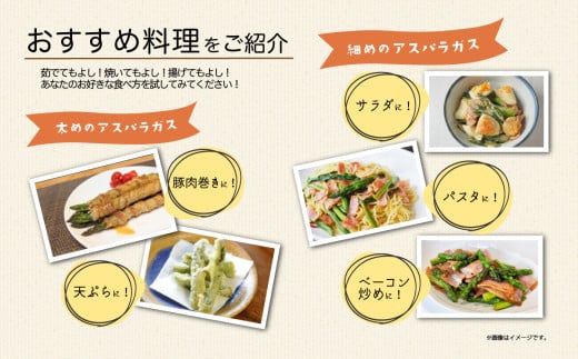 朝採りアスパラガス 1kg S ～ 2Lサイズ ( ふぞろい )  ハウス栽培 夏芽 26年6月下旬 ～ 9月発送 【 先行予約 グリーンアスパラ 野菜 サラダ 農家直送 産地直送 訳あり 不揃い ふぞろい 】 夏芽 S-2L 1kg | 7,000円