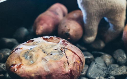 茨城県産 冷やし焼き芋 約1.1kg ( 約380g × 3パック )【 焼き芋 冷やし焼き芋 芋 スイーツ さつまいも シルクスイート 紅はるか おまかせ 】