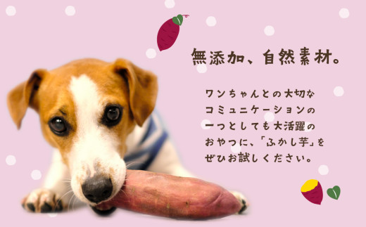 【 無添加 】 選べる ペット用 ふかし芋 小芋 紅はるか 4kg 【 ペットフード おやつ 無添加 ドックフード ペット用 さつまいも ヘルシー 犬 】 ふかし芋 4kg | 10,000円