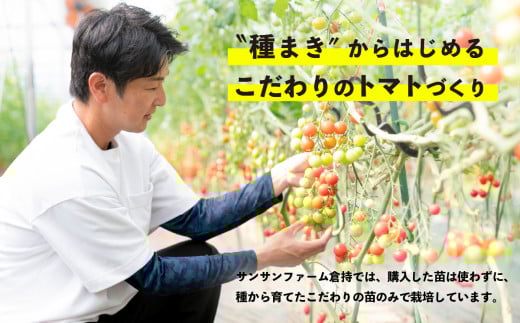 【 先行受付 】 ミニトマト 食べ比べセット 1kg ミニトマト 選手権 「 金賞 」 農家がつくる 【 10種以上 国産 旬 フルーツトマト 高糖度 カラフル 10000円以下 】 1月以降順次発送 | 9,000円