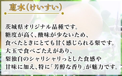 【 第１回全国梨選手権 最高金賞受賞！】茨城県産 「 恵水 」 梨 約5kg 【 2026年8月下旬～9月中旬にかけて発送予定 】【 梨 恵水 なし フルーツ 果物 秋の味覚 デザート 茨城県産 甘い 選手権 最高金賞 】