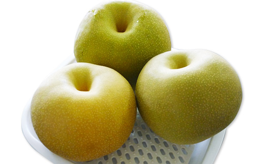 【 先行予約 】 茨城県産 「 幸水梨 」 約5kg 【 2026年8月上旬 ～ 8月中旬にかけて発送予定 】【 こうすい 果物 くだもの フルーツ 国産 季節限定 人気 贈り物 お取り寄せ デザート 】