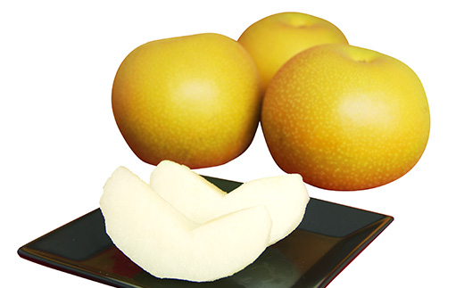 【 先行予約 】 茨城県産 「 あきづき 」 約5kg 【 2026年8月下旬～9月中旬にかけて発送予定 】【 梨 果物 くだもの フルーツ 国産 季節限定 人気 贈り物 お取り寄せ デザート 】