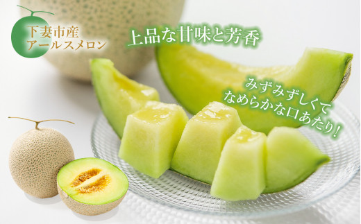 【 先行予約 】 茨城県産 アールスメロン 約2.5kg （ 2個 ）【 2026年9月上旬～10月上旬ごろ発送予定 】【 国産メロン 茨城県産メロン メロンの王様 高級メロン めろん  果物 くだもの フルーツ 季節限定 人気 贈り物 お取り寄せ プレゼント 厳選 デザート マスクメロン ムスク マスク 】 約2.5kg（青肉）