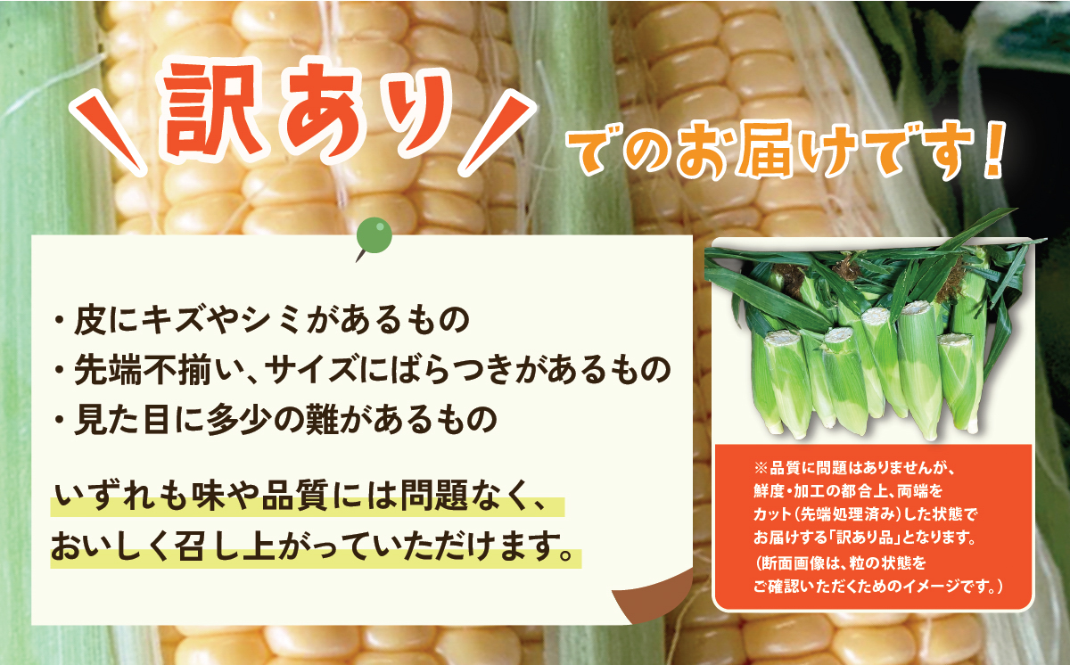 【 訳あり 】【先行予約】下妻産 朝採りとうもろこし （ ミエルコーン ） 約6kg 【 とうもろこし とうきび トウモロコシ ジューシー 甘い 蜂蜜 はちみつ ミエル Miel スイーツ デザート ミエルコーン 人気 野菜 新鮮 おすすめ スイートコーン 】[SZR]