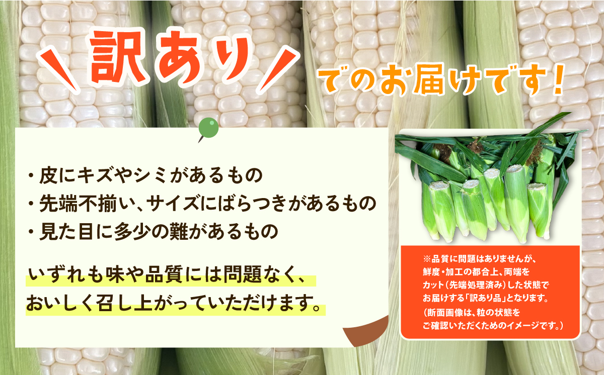 【先行予約】【訳あり】下妻産朝採りとうもろこし約6kg（ピュアホワイト）【先行予約：2026年6月下旬～7月下旬順次発送予定】【 とうもろこし トウモロコシ とうきび 甘い スイーツ デザート コーン 人気 野菜 新鮮 おすすめ 】 訳あり：6kg