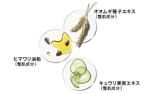 7T5R016000 ドラマティカリー ディファレント モイスチャライジング ローション プラス 2個セット