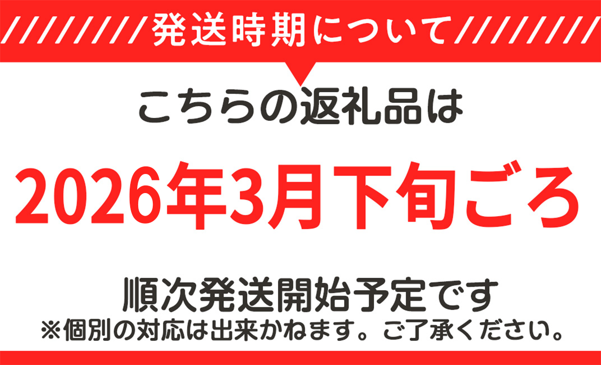 【 先行予約 】筑波サーキット 会員走行チケット 2輪 3枚セット【 2026年4月～2027年3月末まで使用可能 】【 レース コース ドライバー 運転 ライセンス 車 スポーツ ふるさと納税 体験 】