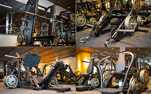 ジム 利用チケット × 3回 （ Dandelionsfitness ）【 利用券 体験 チケット トレーニング 筋トレ 健康 スポーツ ダイエット 】