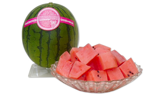 【 先行予約 】 茨城県産 ピノガール 約3kg （ 2個 ） 【 こだますいか 小玉すいか 2026年5月中旬～6月中旬ごろ発送予定 】 【 スイカ 西瓜 果物 くだもの フルーツ 国産 季節限定 人気 贈り物 お取り寄せ プレゼント 厳選 デザート 】