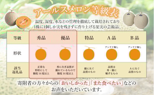 【 先行予約 】 茨城県産 アールスメロン 「 赤 」 約7.5kg （ 3～6個 ）【 2026年9月上旬～10月上旬ごろ発送予定 】【 国産メロン 茨城県産メロン メロンの王様 高級メロン めろん  果物 くだもの フルーツ 季節限定 人気 贈り物 お取り寄せ プレゼント 厳選 デザート マスクメロン ムスク マスク 】 約7.5kg（赤肉）