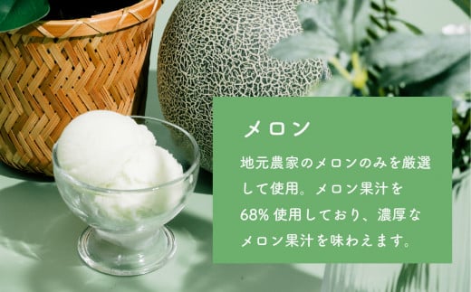 選べる特製ジェラート 1L x 2個 [ メロン ] [ メロン ] 【 アイス ジェラート アイスクリーム デザート スイーツ 組み合わせ自由 業務用 バルク 】 メロン1L × メロン1L | 10,000円