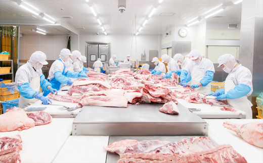 国産豚肉こま切れ 2kg （ 250g × 8パック / 小分け真空包装 ）【 下妻工場直送 】【 豚肉 こま切れ パック 小分け 便利 国産 料理 ポーク ぶたにく 国産豚 マルリン】