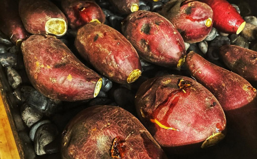 茨城県産 冷やし焼き芋 約1.1kg ( 約380g × 3パック )【 焼き芋 冷やし焼き芋 芋 スイーツ さつまいも シルクスイート 紅はるか おまかせ 】