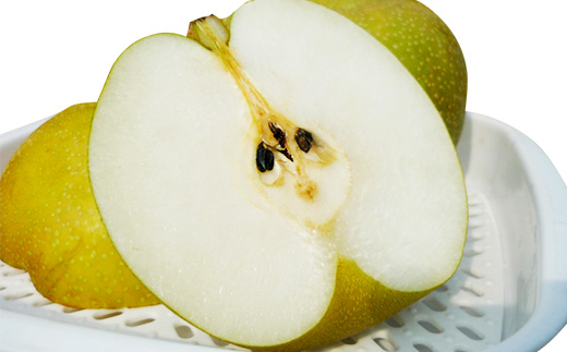 【 先行予約 】 茨城県産 「 幸水梨 」 約5kg 【 2026年8月上旬 ～ 8月中旬にかけて発送予定 】【 こうすい 果物 くだもの フルーツ 国産 季節限定 人気 贈り物 お取り寄せ デザート 】