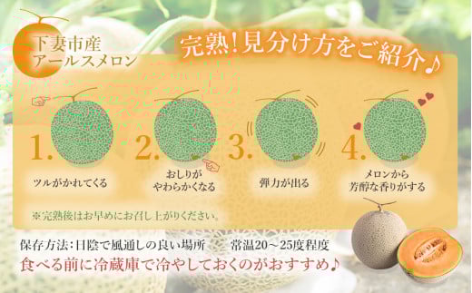 【 先行予約 】 茨城県産 アールスメロン 「 赤 」 約7.5kg （ 3～6個 ）【 2026年9月上旬～10月上旬ごろ発送予定 】【 国産メロン 茨城県産メロン メロンの王様 高級メロン めろん  果物 くだもの フルーツ 季節限定 人気 贈り物 お取り寄せ プレゼント 厳選 デザート マスクメロン ムスク マスク 】 約7.5kg（赤肉）