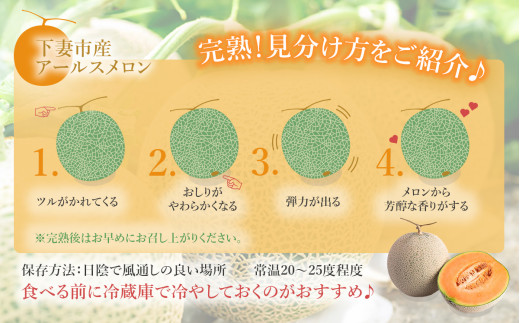【 先行予約 】 茨城県産 アールスメロン 「 赤 」 約2.5kg （ 2個 ）【 2026年9月上旬～10月上旬ごろ発送予定 】【 国産メロン 茨城県産メロン メロンの王様 高級メロン めろん  果物 くだもの フルーツ 季節限定 人気 贈り物 お取り寄せ プレゼント 厳選 デザート マスクメロン ムスク マスク 】 約2.5kg（赤肉）