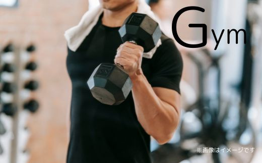 THE ROOM  ( スマートモデューロ ）【 ムービングハウス 家 住宅 仮設住宅 木造 トレーラーハウス 住宅 小屋 物置 ワーキングスペース ゲーミングルーム 事務所 店舗 離れ 】